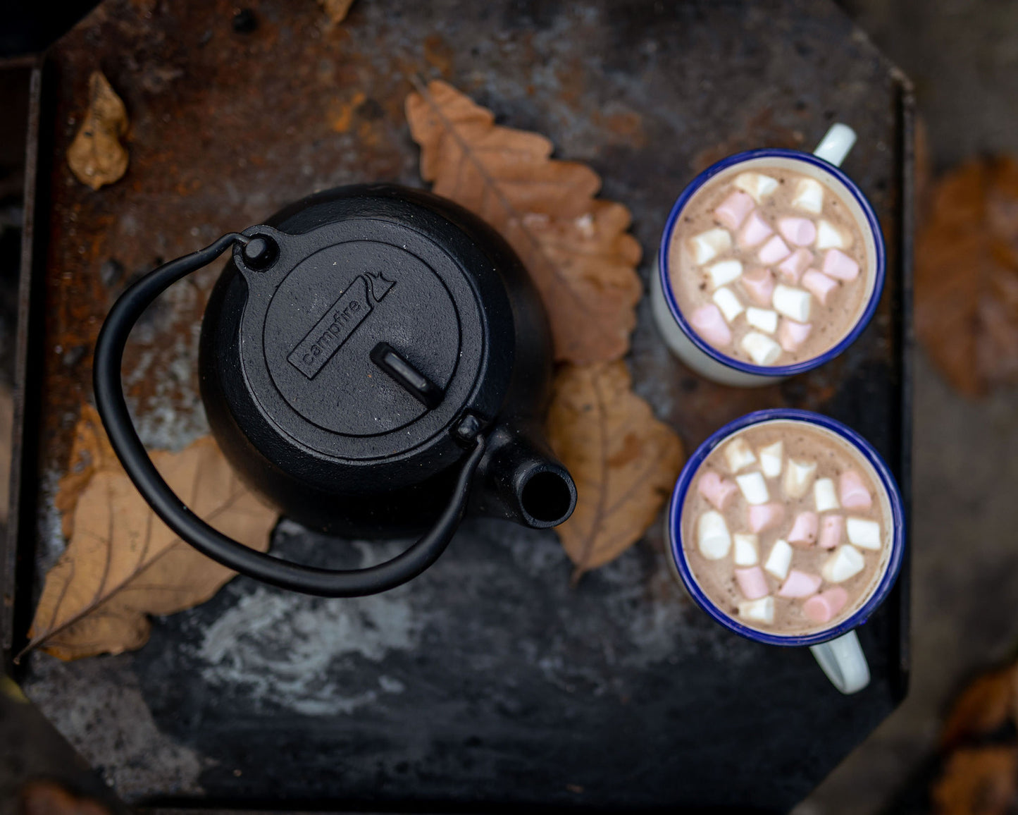 Campfire Cast Iron Kettle