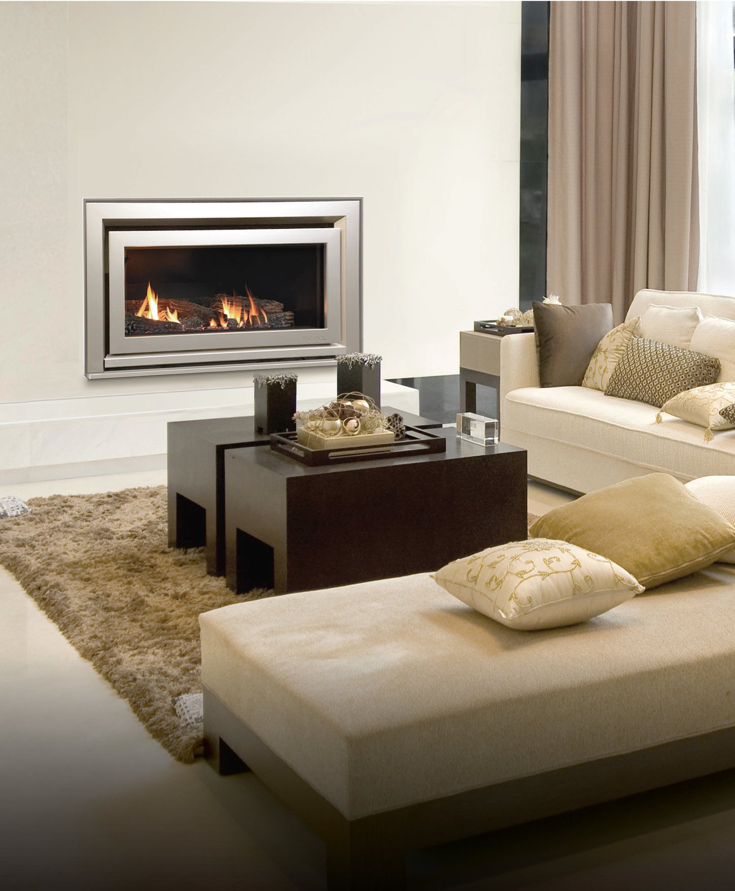 Escea DL850 High Output Gas Fireplace
