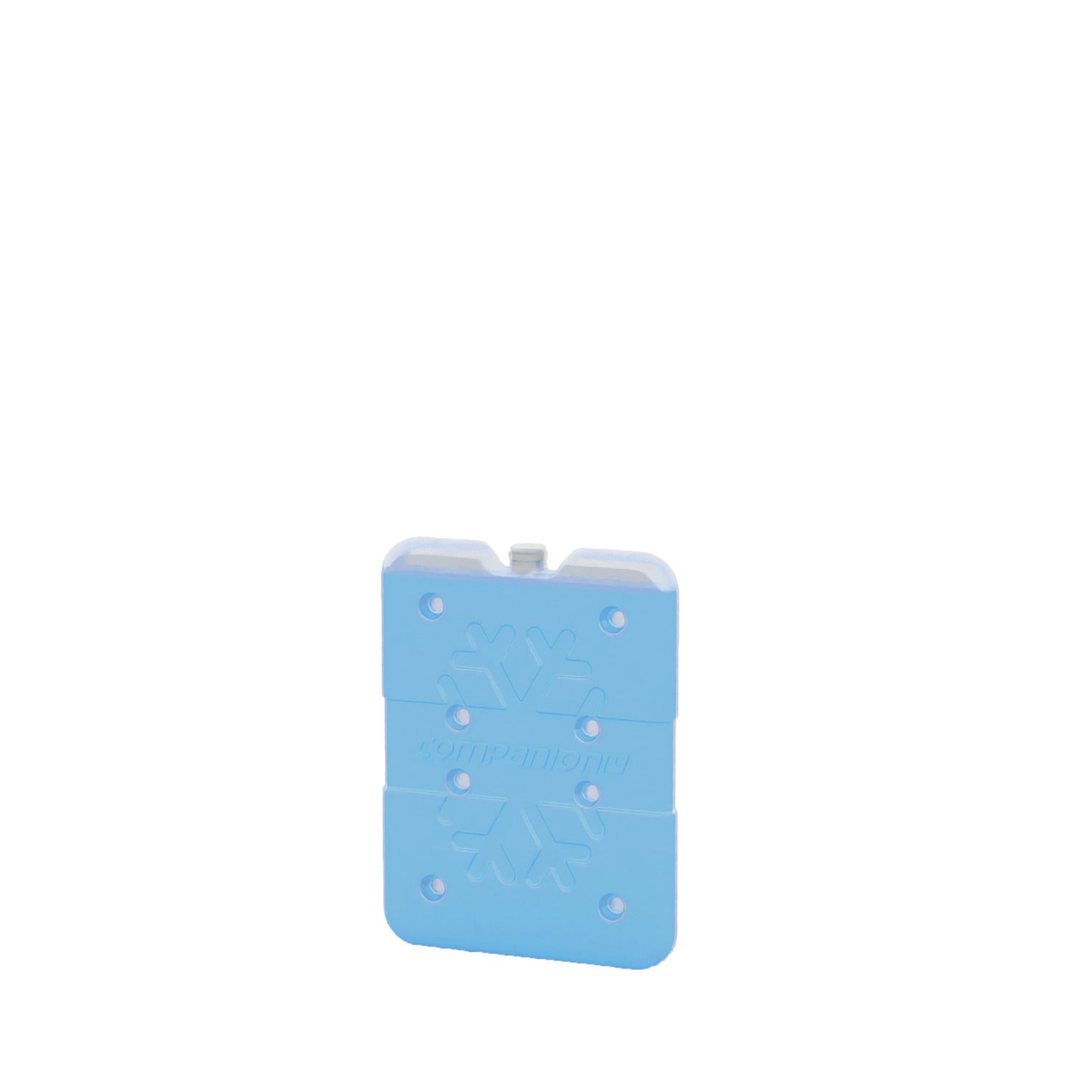 Companion Slim Ice Brick