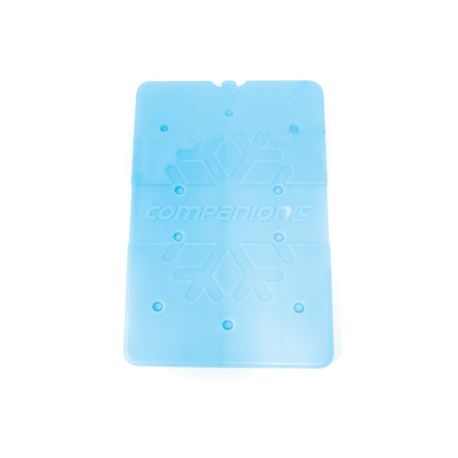 Companion Slim Ice Brick